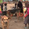 Restoring Dignity in Mathare Slums