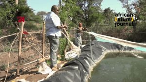 Promising Fish Farming Economic Projects in Isiolo, Kenya