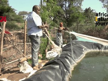 Promising Fish Farming Economic Projects in Isiolo, Kenya