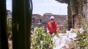 Teenage Pregnancy A Menace In The Slums A Midst Covid-19