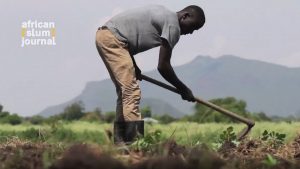 Addressing Food Insecurity through Modern Farming Techniques